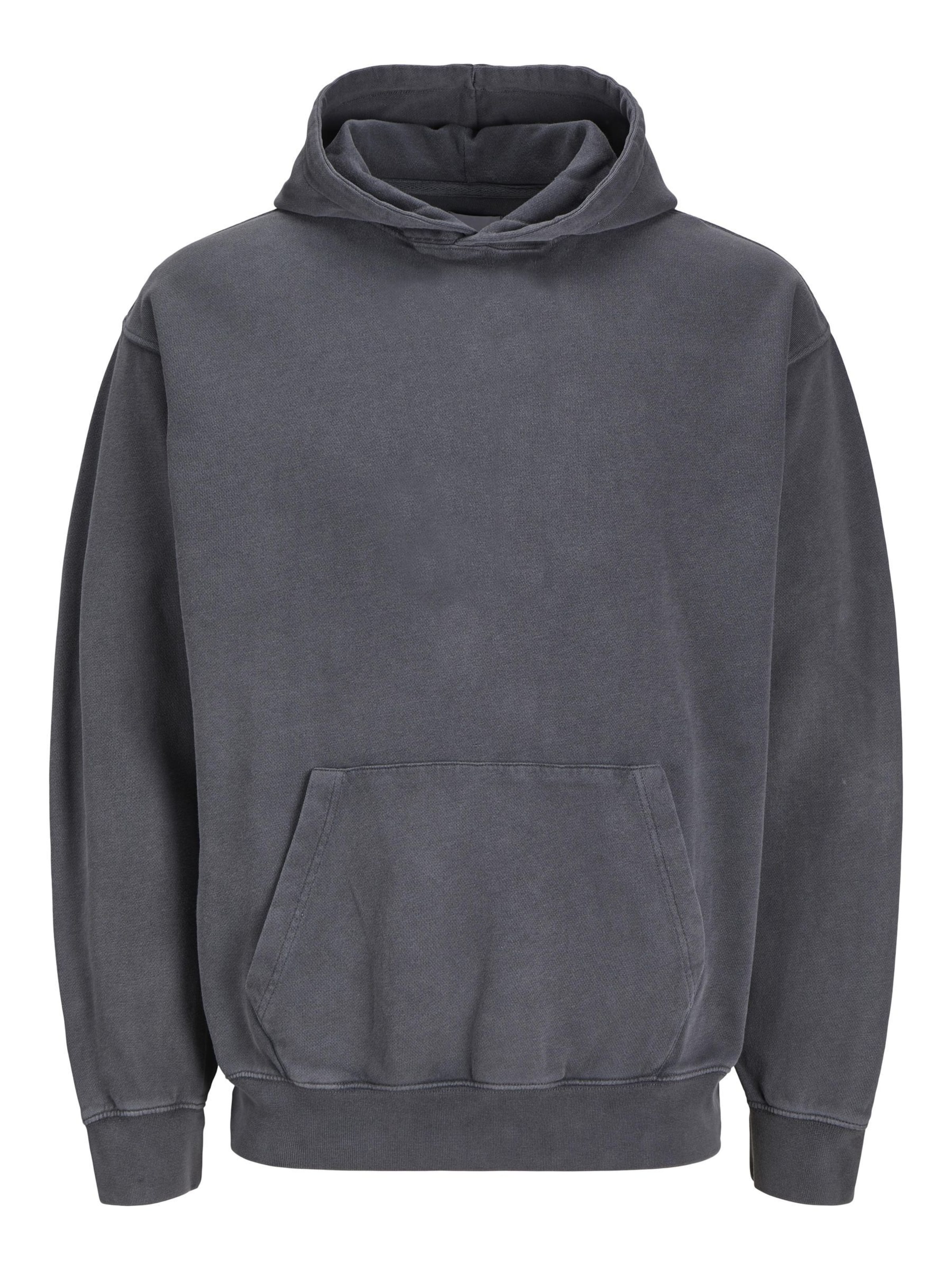 Sweat 'JJECHARGE' Jack & Jones Junior en gris : devant