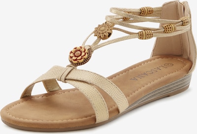 LASCANA Sandale in beige, Produktansicht