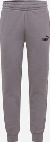 Pantalon de sport PUMA en gris : devant