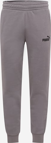 PUMA Workout Pants in Grey: front