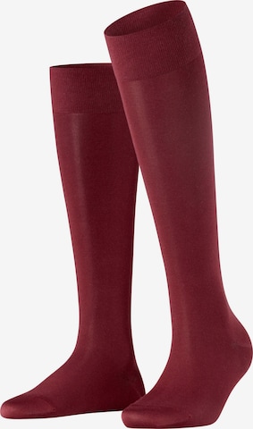 FALKE Knee High Socks 'Cotton Touch' in Red: front