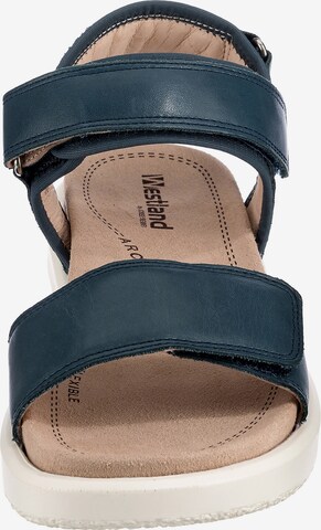 Westland by JOSEF SEIBEL Sandals 'Albi' in Blue