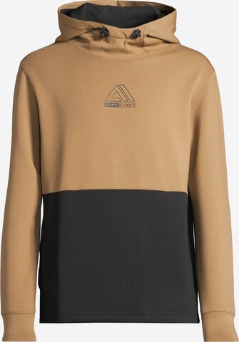 AÉROPOSTALE Sweatshirt in Grijs: voorkant