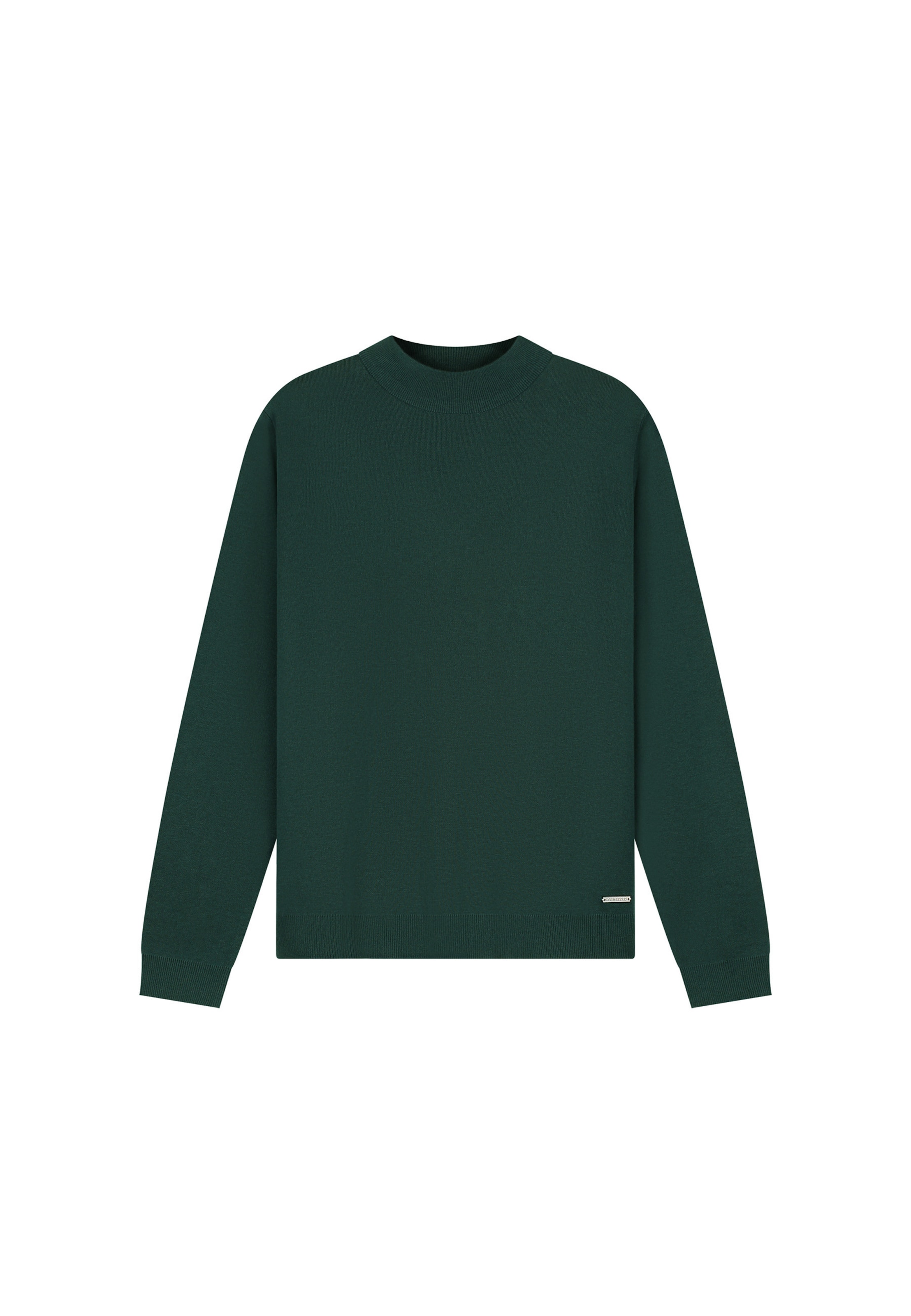 Dstrezzed Sweater 'Archer Mockneck' in Green: front