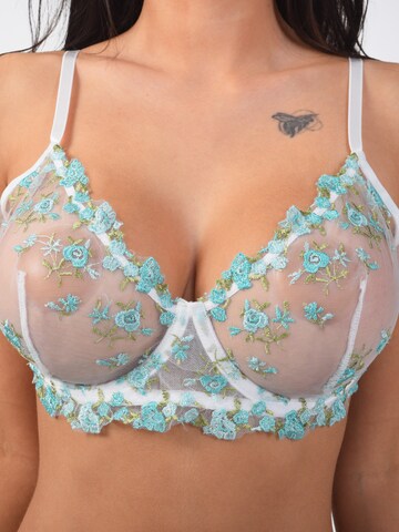 Orchibelle Bralette Underwear Sets in Green