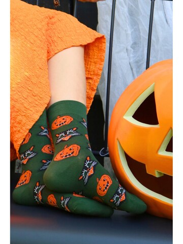 Sokisahtel Sokken 'PERIL halloween socks with cats and pumpkins' in Gemengde kleuren: voorkant