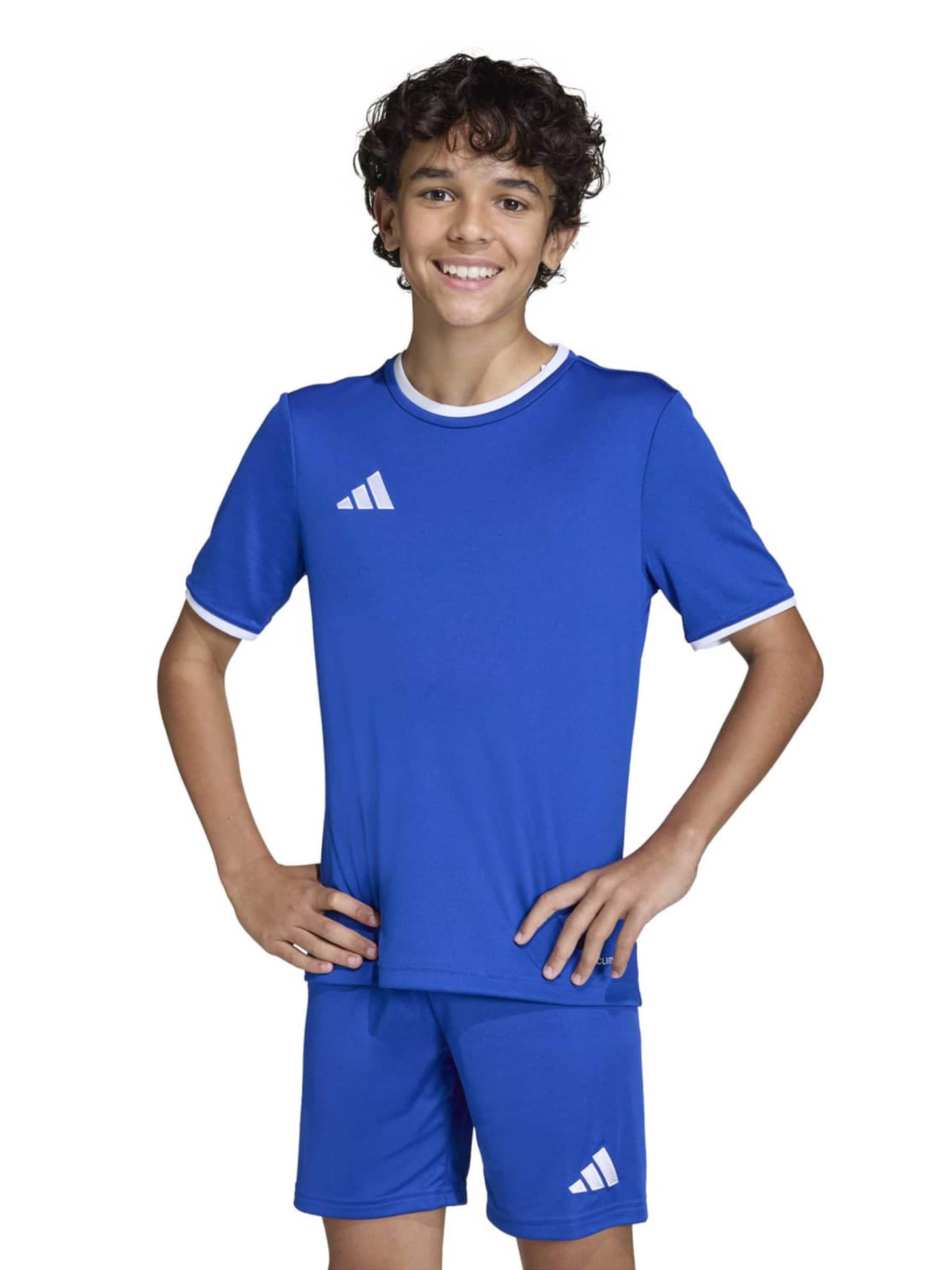 ADIDAS PERFORMANCE Performance Shirt 'ENT26' in Blue