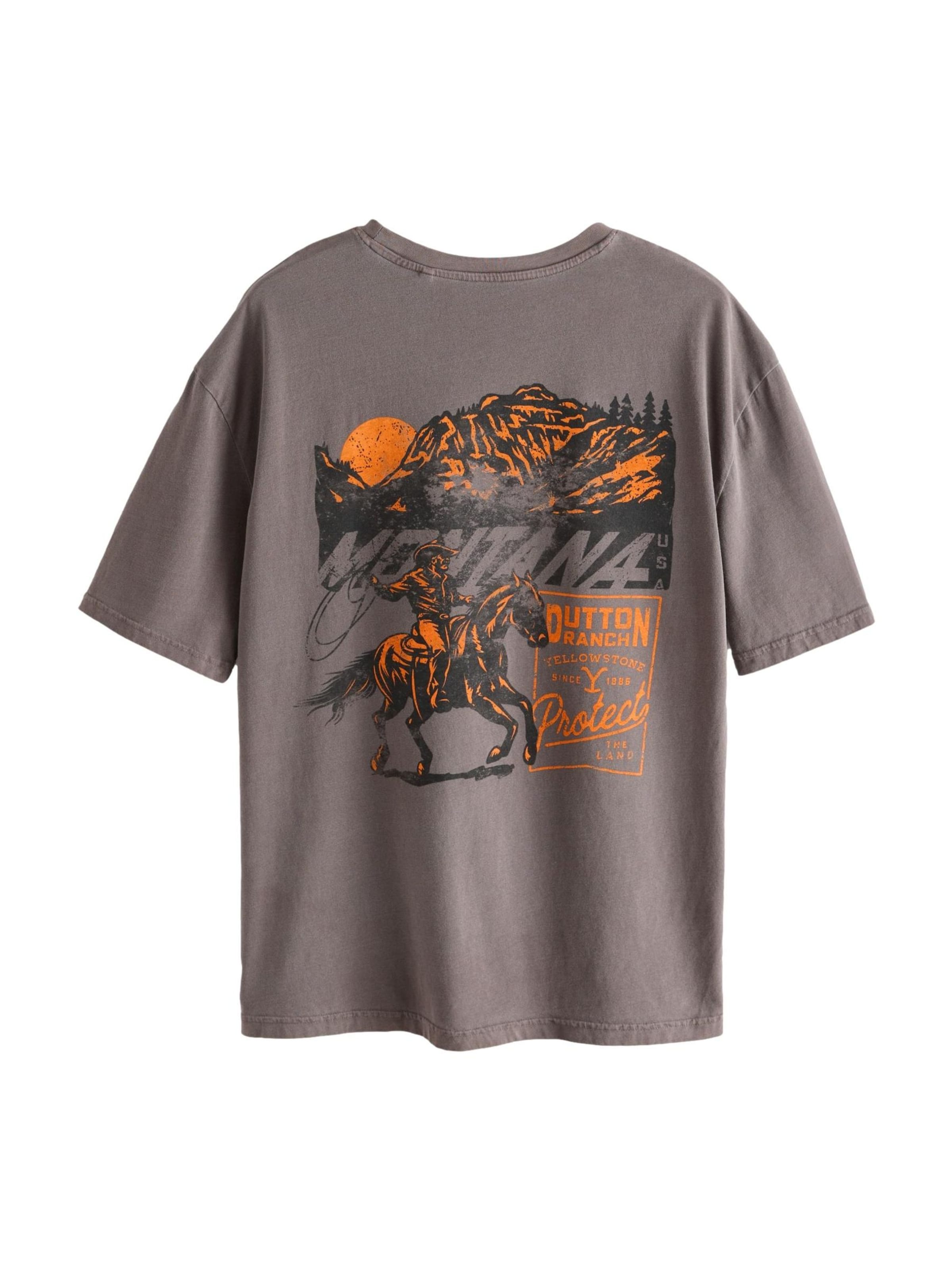 Next Bluser & t-shirts i brun: forside
