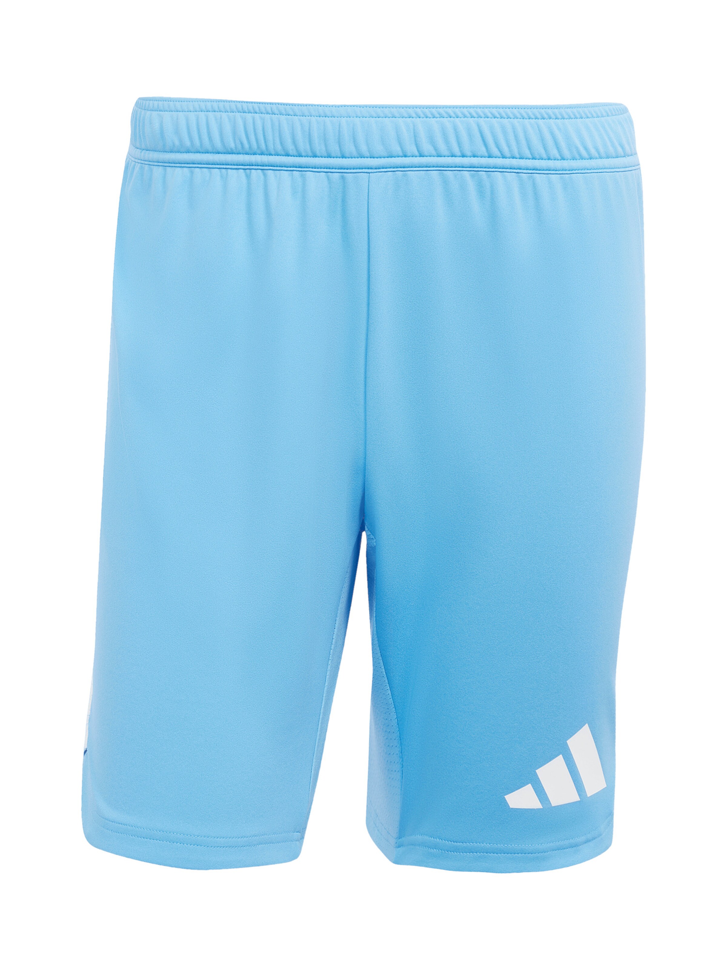 ADIDAS PERFORMANCE Sporthose 'Tiro 25 Pro' in Blau: Vorderseite