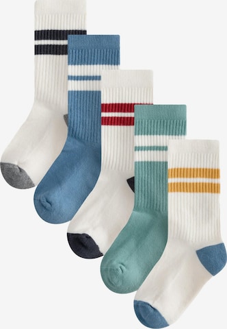 mėlyna Next Kojinės: priekis