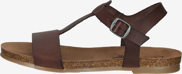 COSMOS COMFORT Sandals in Brown