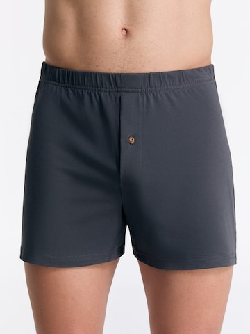 Albero Natur Boxershorts in Grau: Vorderseite