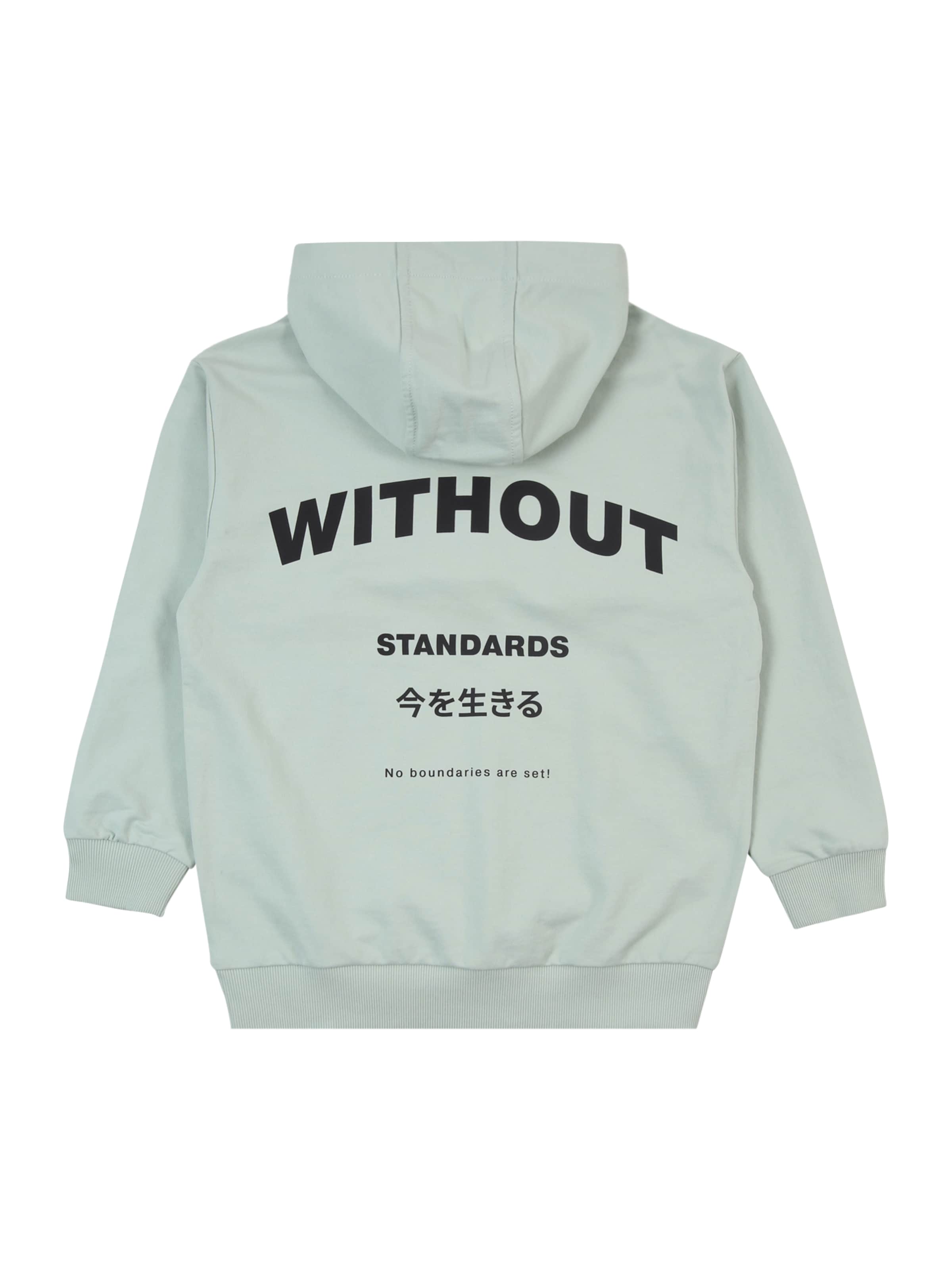 s.Oliver Sweatshirt in Green