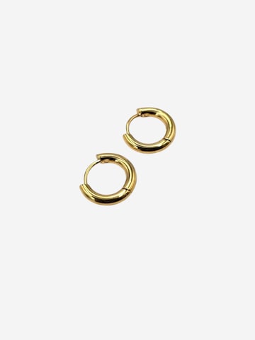 Lakris Jewelry Øreringe i guld