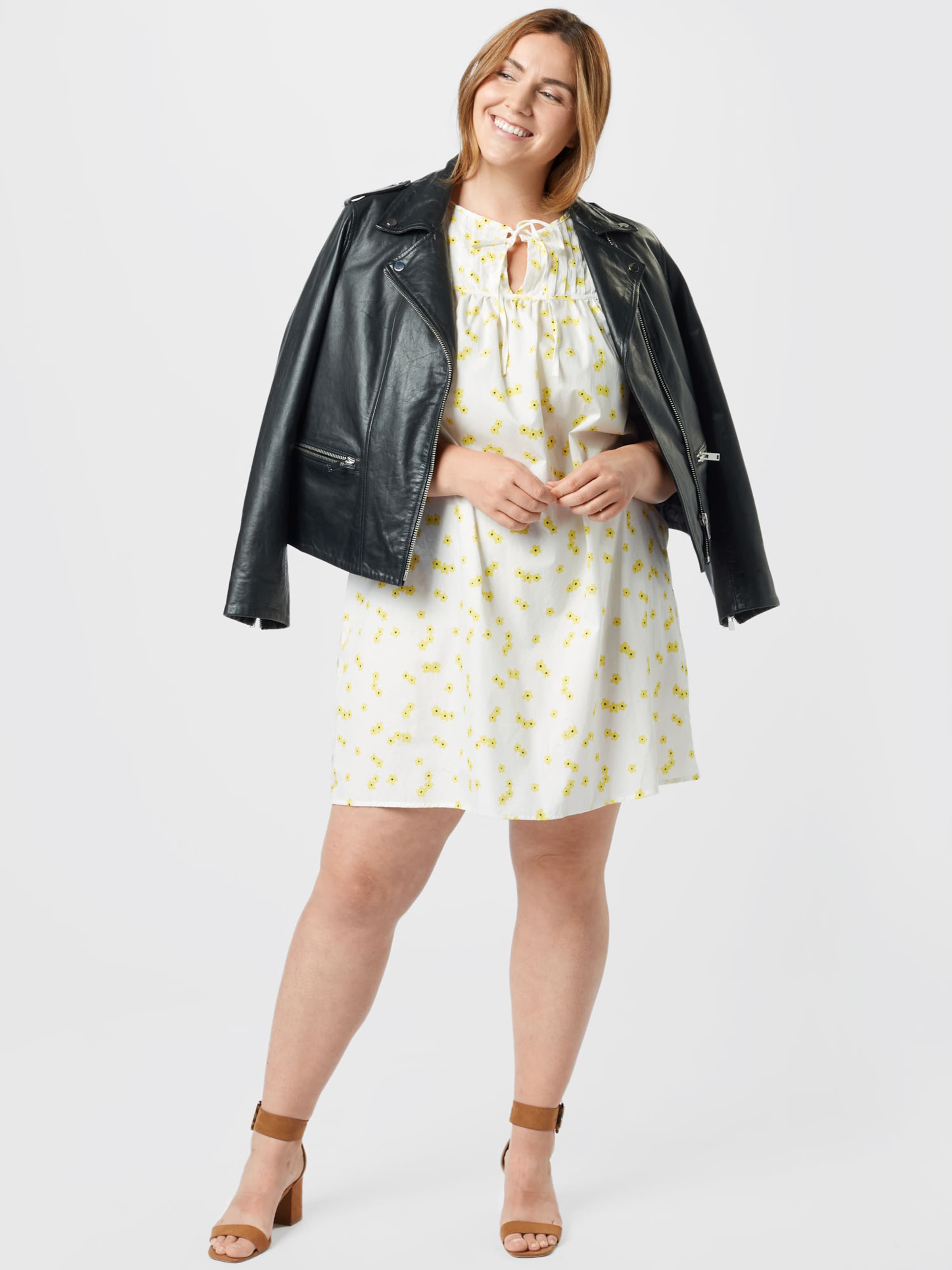 Dresses GLAMOROUS CURVE Buy online ABOUT YOU