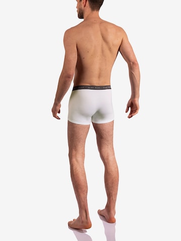 Olaf Benz Boxershorts in Wit