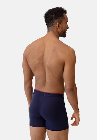 Boxers 'Bamboo' DANISH ENDURANCE en bleu