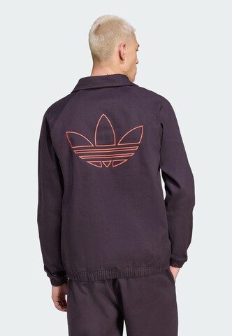 Sweat-shirt 'FC Bayern München Terrace Icons' ADIDAS ORIGINALS en violet : devant