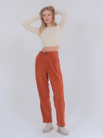 FRESHLIONS Wide leg Pleat-Front Pants ' Alma ' in Brown