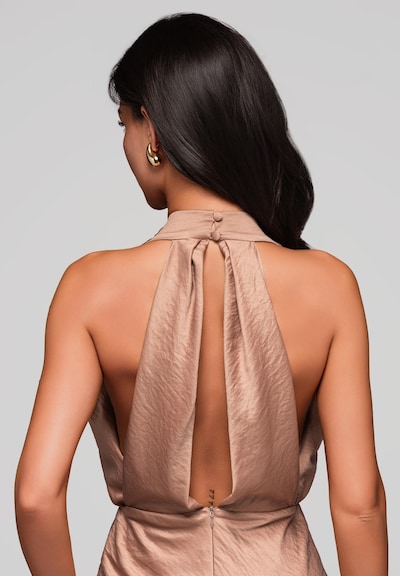 Ombre Robe de soirée en noisette, Vue avec produit