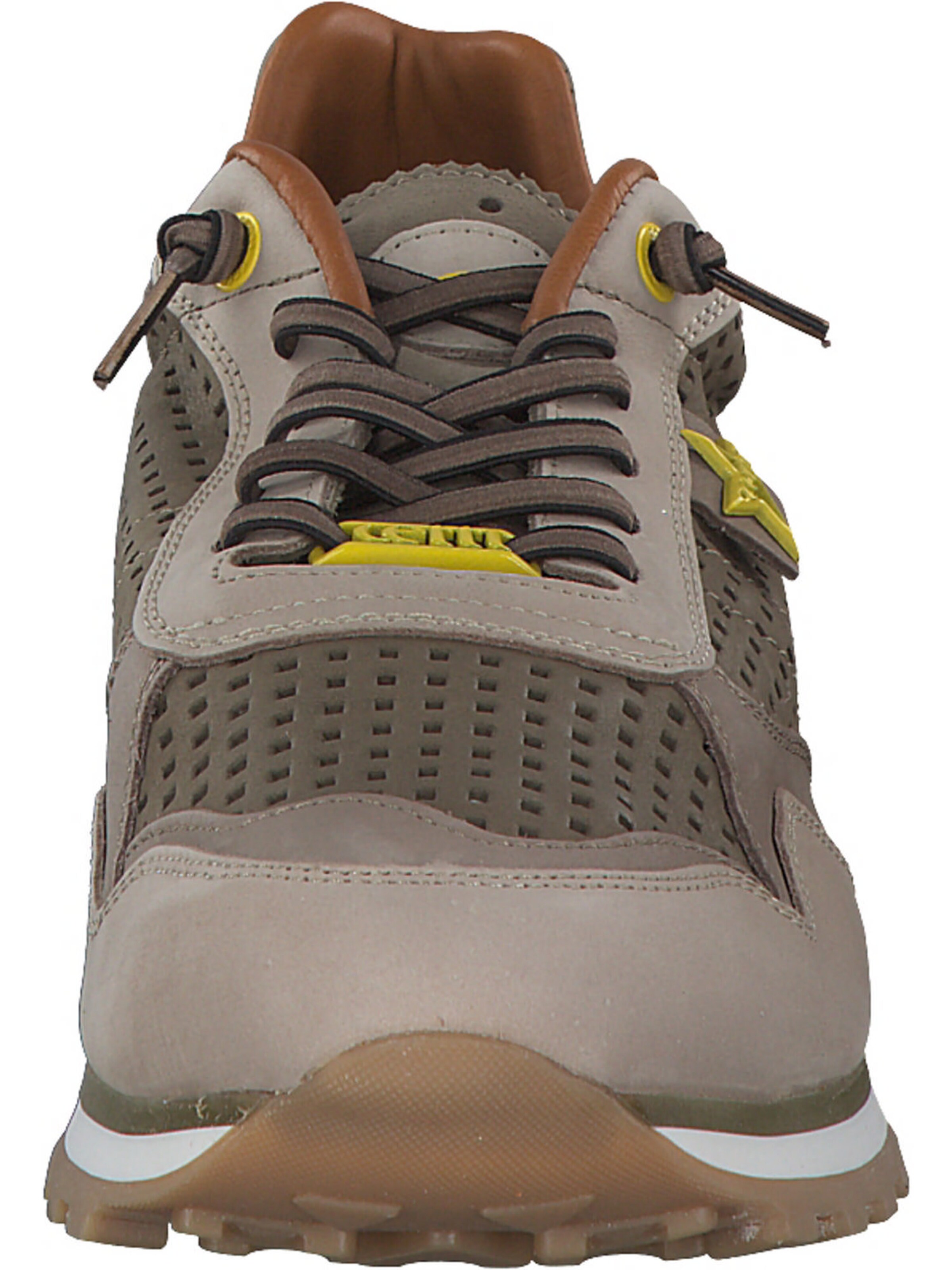 Cetti Sneaker 'C848 EXP M' in Beige