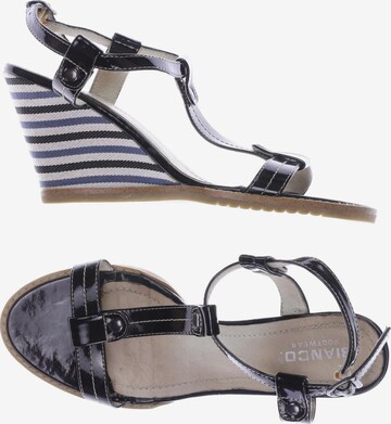 Bianco Sandals & High-Heeled Sandals in 37 in Black: front