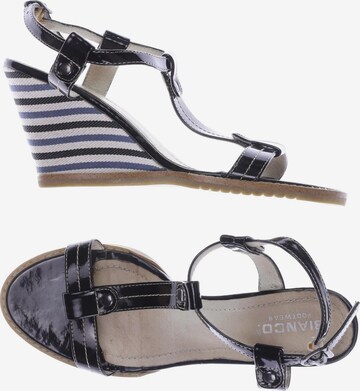 Bianco Sandalen 37 in Schwarz: predná strana