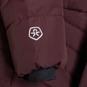 COLOR KIDS - Chaqueta de invierno en marrón