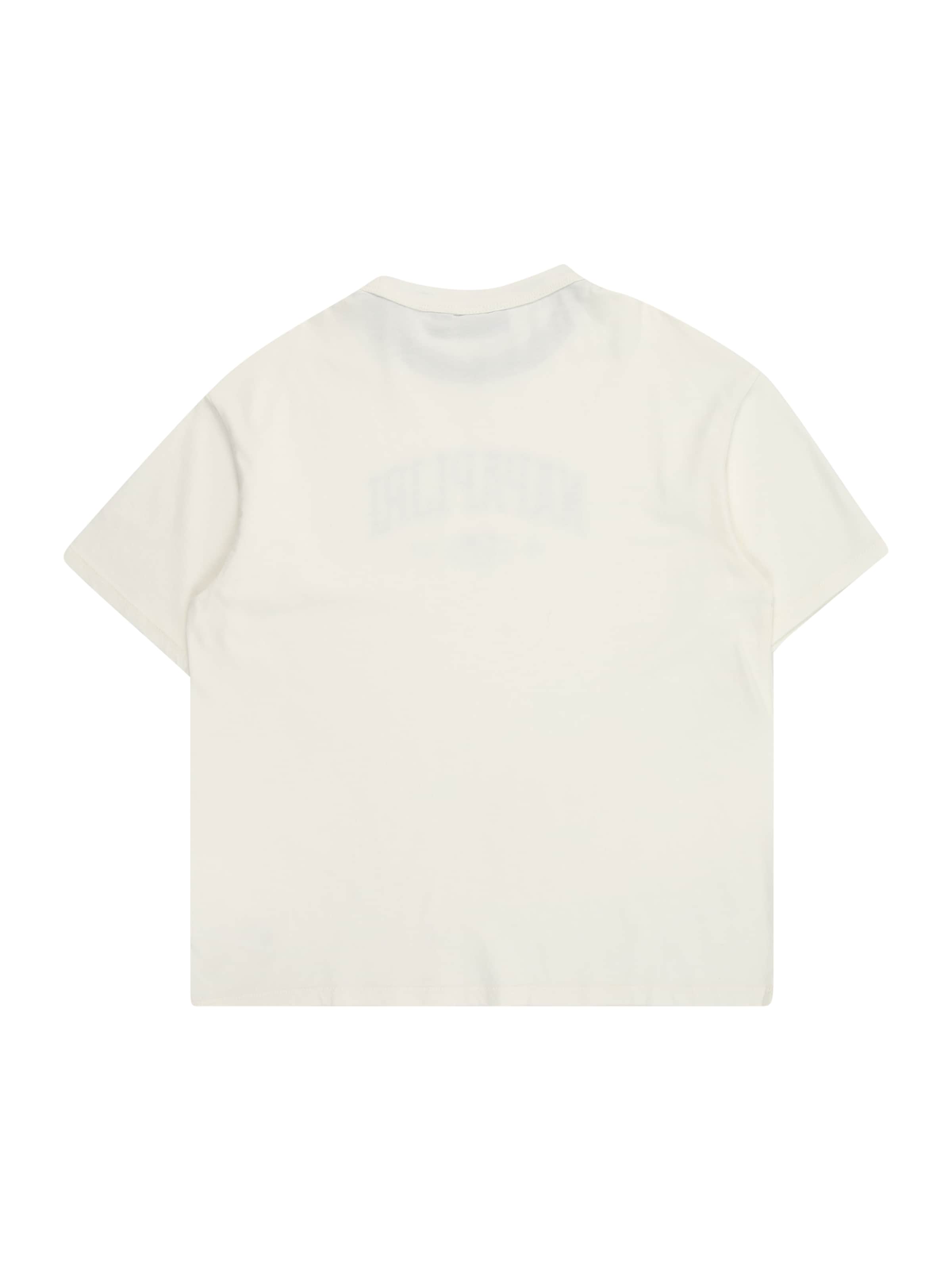 NAPAPIJRI Футболка 'S-INOT' в Белый