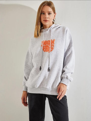 Bianco Lucci Sweatshirt in Grijs