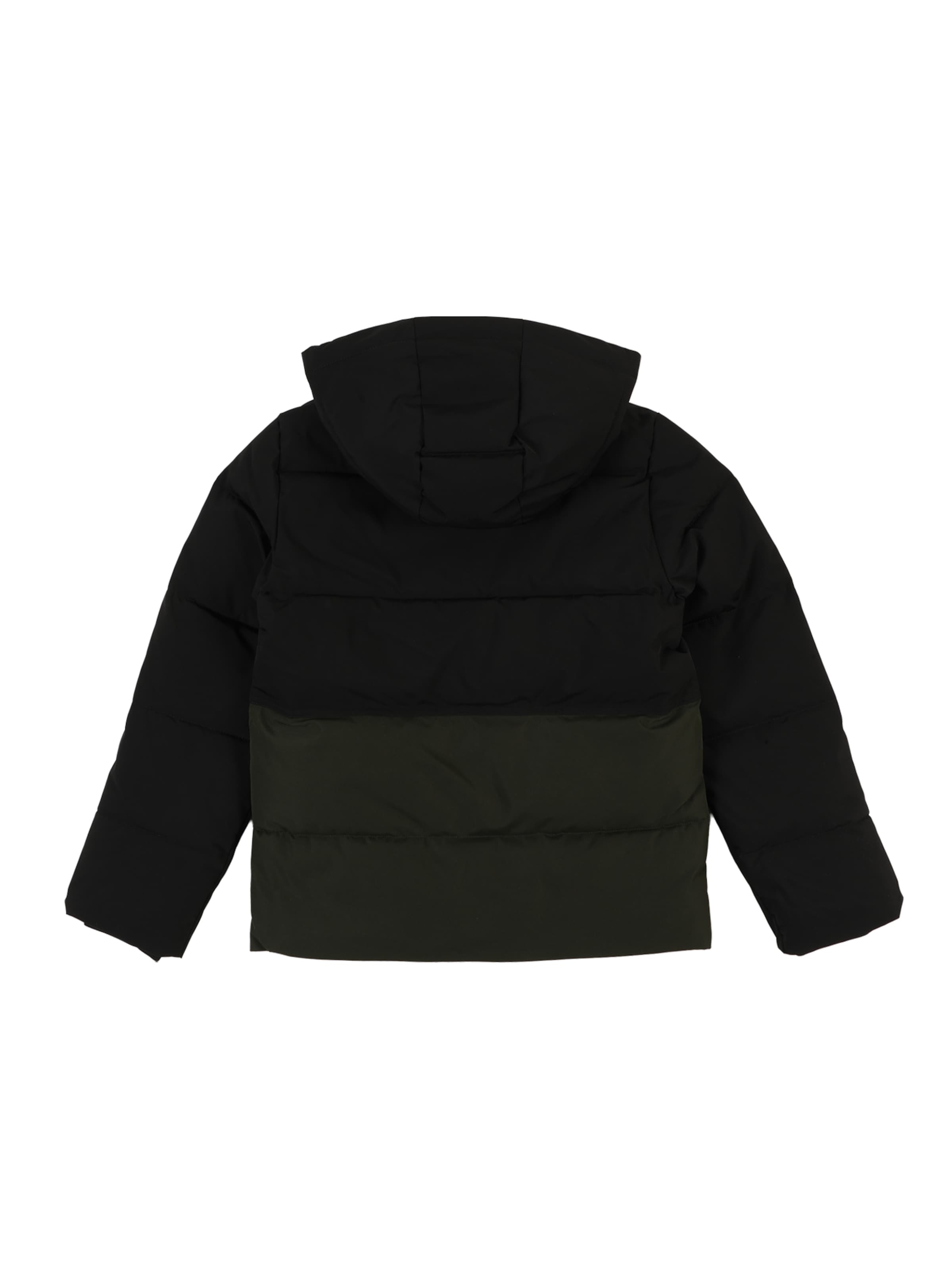 Jack & Jones Junior Jacke 'JJEOwen' in Grün