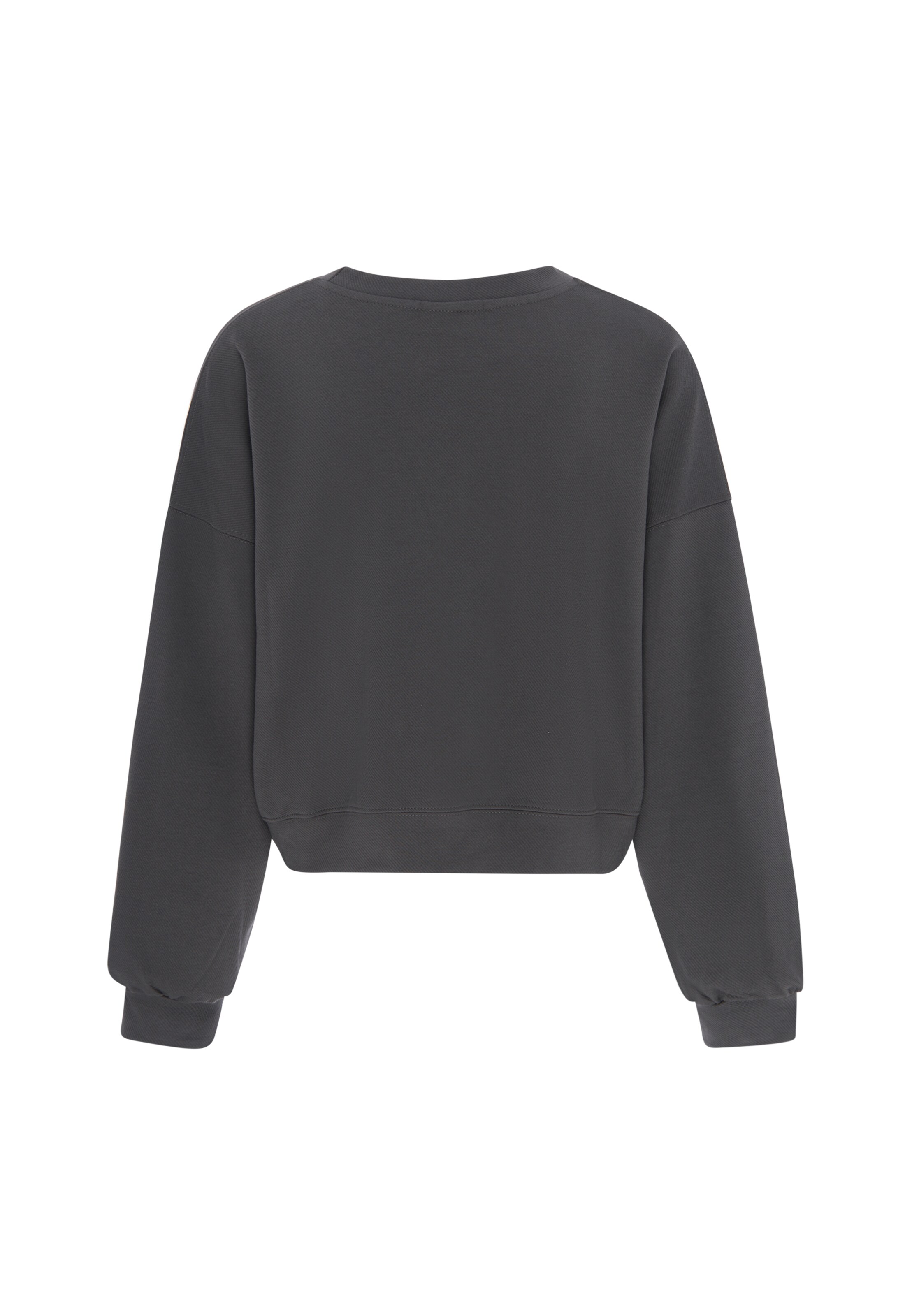 revend Sweatshirt in Grey