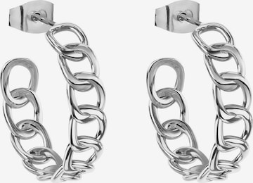 Liebeskind Berlin Earrings in Silver: front