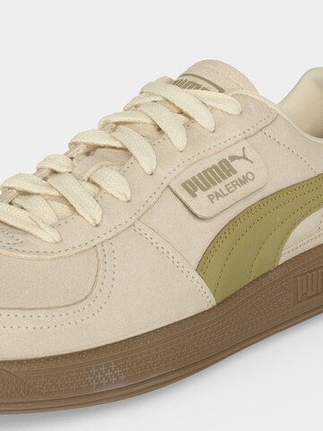 PUMA Sneaker 'Palermo' in Beige