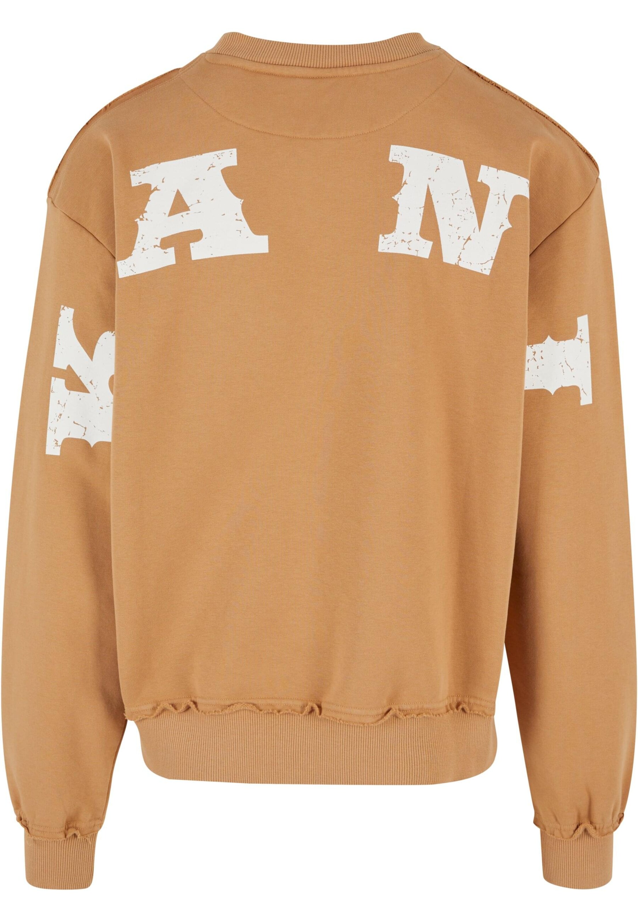 Sweat-shirt Karl Kani en beige