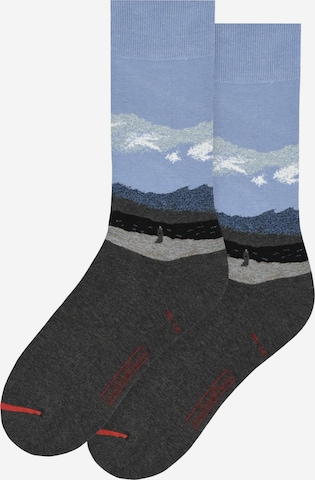 MuseARTa Socks 'Caspar David Friedrich' in Mixed colors: front