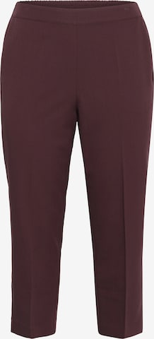 KAFFE CURVE Bukser 'Sakira' i brun: forside