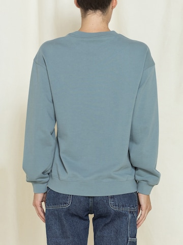 Carrera Jeans Sweatshirt‌ in Grün