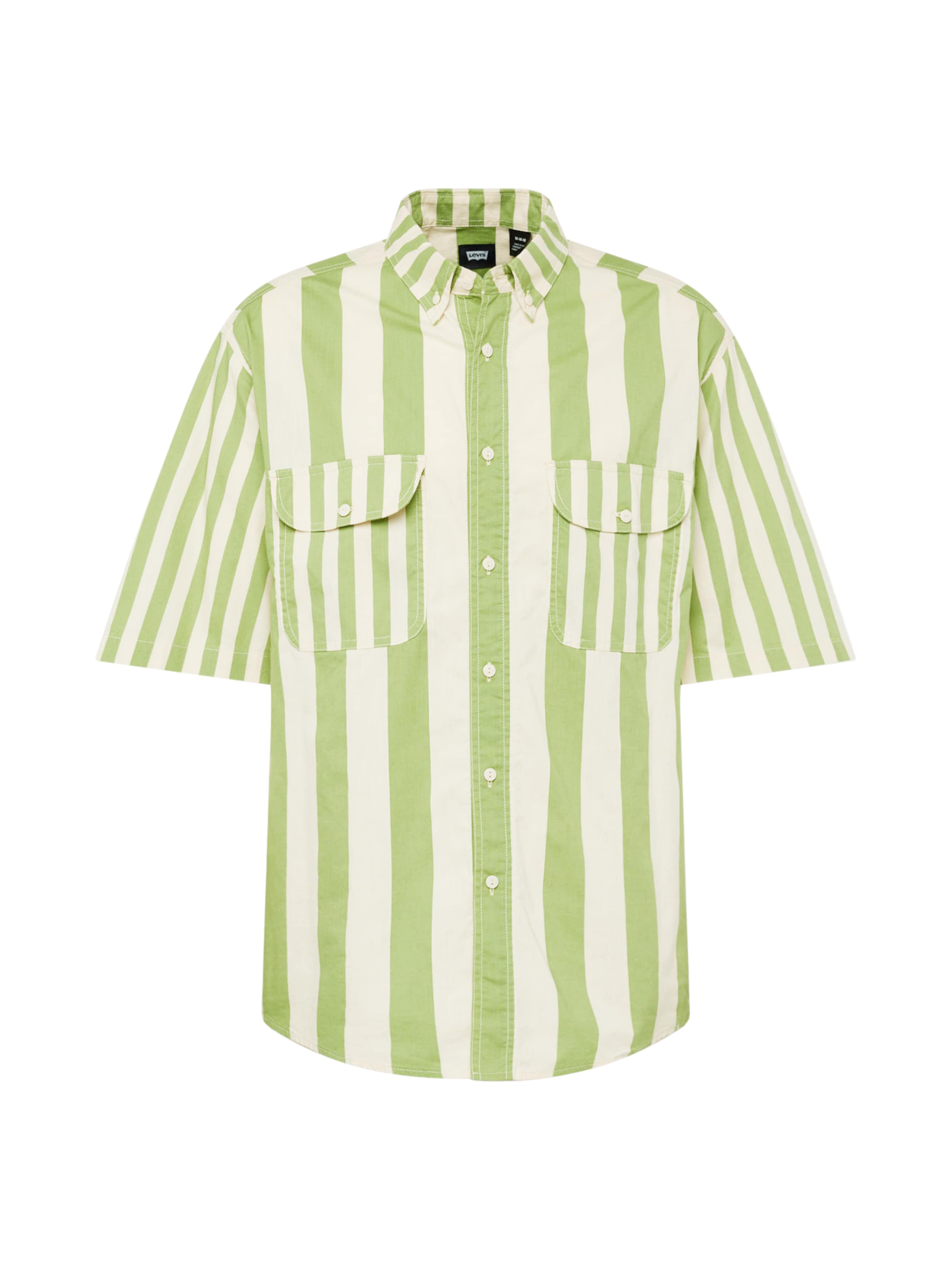 Levi's Skateboarding Comfort fit Button Up Shirt 'Skate SS Woven' in Green: front
