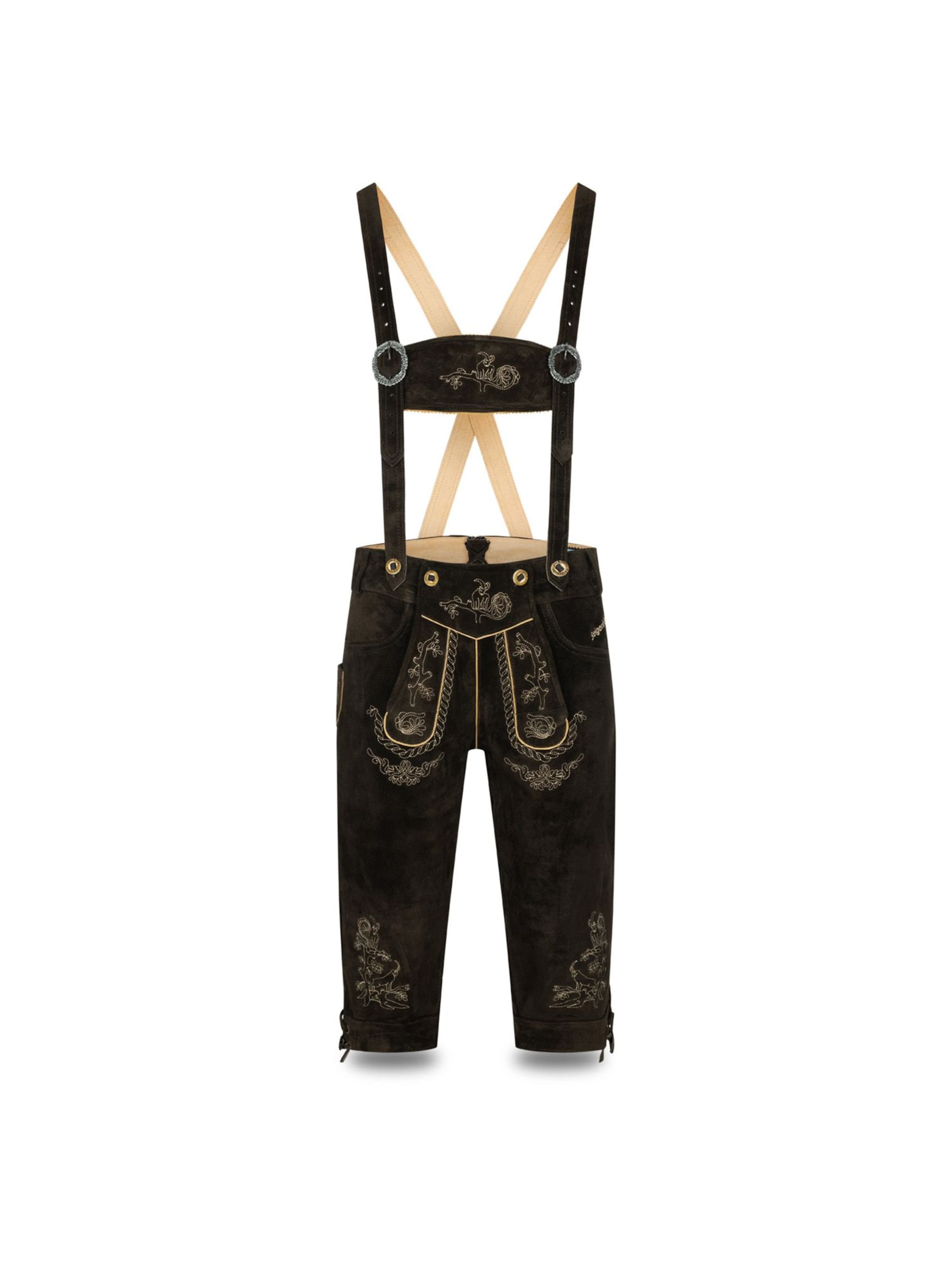 Steigenhöfer Regular Traditional Pants 'Steigenhöfer Lederhose Alexander' in Brown: front