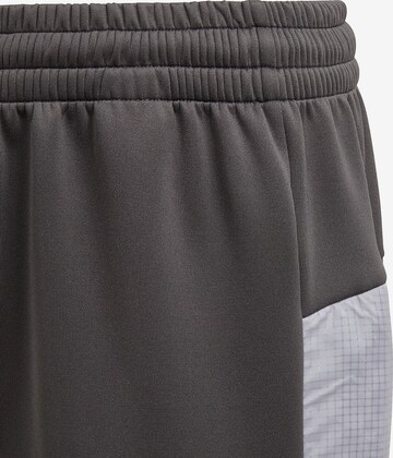 ADIDAS PERFORMANCE Regular Shorts in Grau