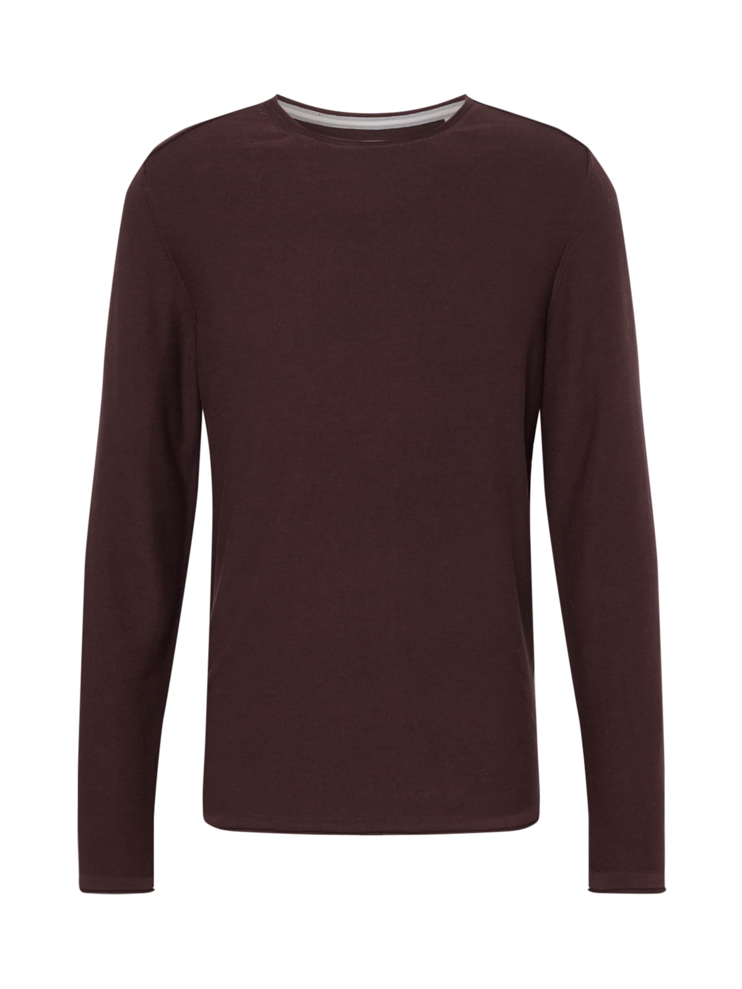 s.Oliver Pullover in Lila: Vorderseite