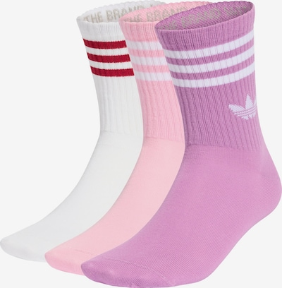 ADIDAS ORIGINALS Nogavice v velikosti 34-36 | sliva / puder / rdeča / bela barva, Prikaz izdelka
