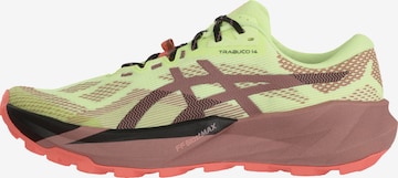 ASICS Laufschuh 'Trabuco 14' in Grün: Vorderseite