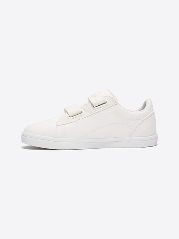 TIMBERLAND Trainers in White