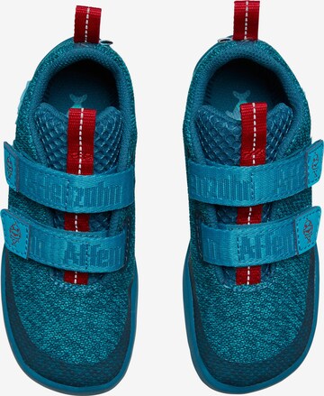 Affenzahn Sneaker 'Happy Hai' in Blau