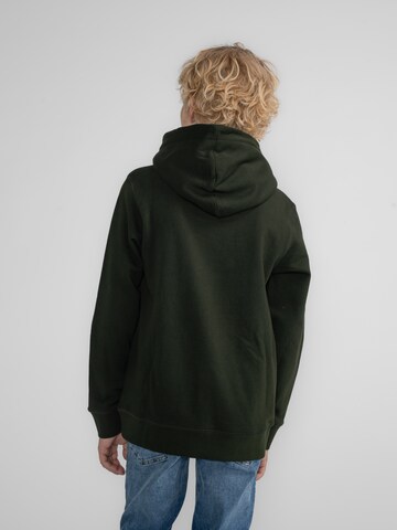 Petrol Industries Sweatshirt 'White Mountain' in Grün