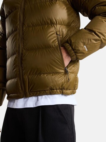 Veste d’hiver 'THE NORTH FACE M HYDRNLTE DWN HDY GIUBOTTO' THE NORTH FACE en marron
