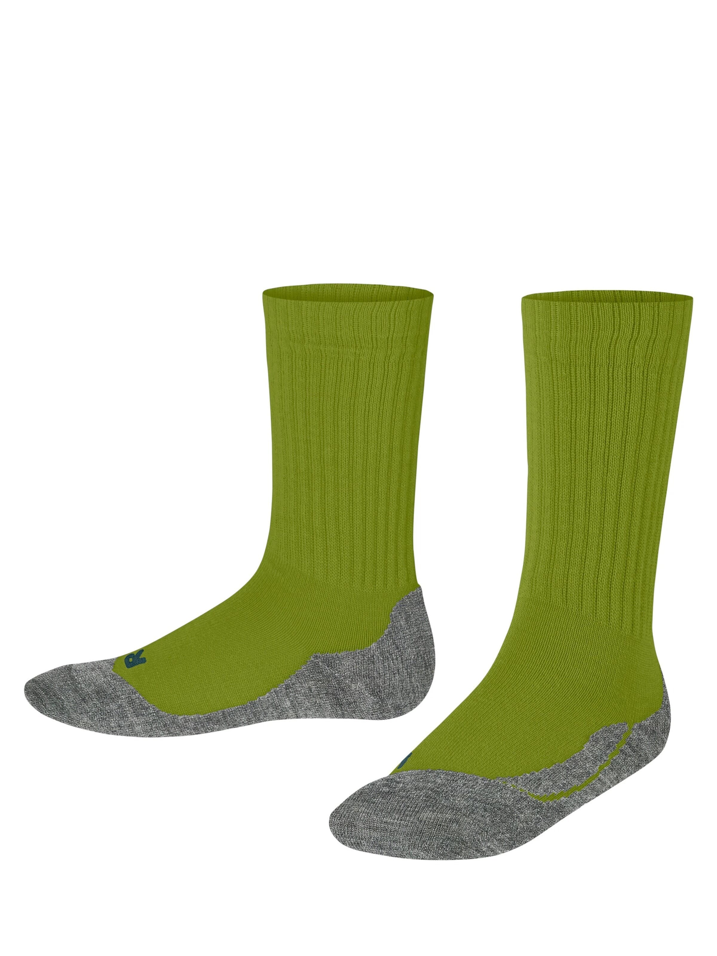 FALKE Socks 'Active Warm' in Green: front