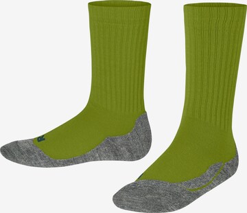 FALKE Socks 'Active Warm' in Green: front